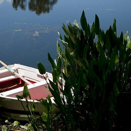 Herdades Da Frupor - Casas De Campo Brejao Экстерьер фото